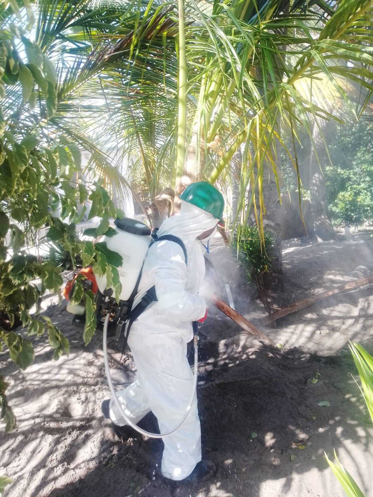 WhatsApp Image 2023-09-05 at 12.29