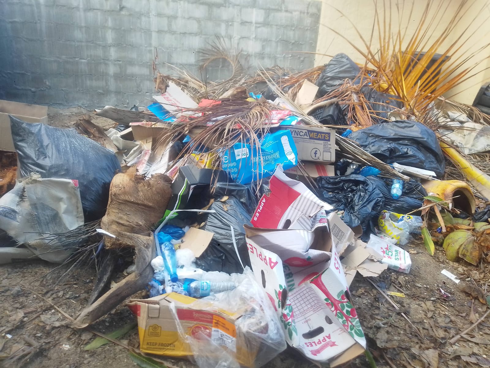 WhatsApp Image 2023-09-05 at 12.29